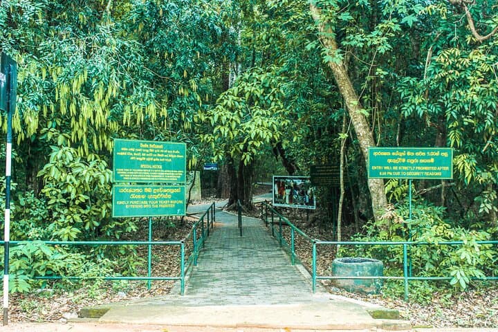 Ritigala, Kala Wewa & Namal Uyana Day Tour from Habarana — Cloud-Forest, Ancient Reservoirs & Ironwood Grove photo 4