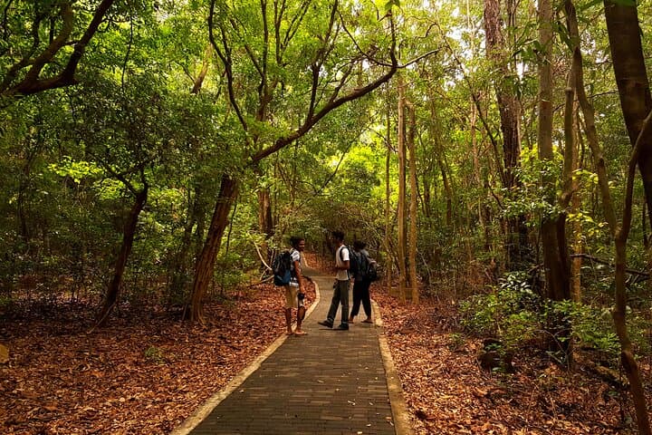 Ritigala, Kala Wewa & Namal Uyana Day Tour from Habarana — Cloud-Forest, Ancient Reservoirs & Ironwood Grove photo 5