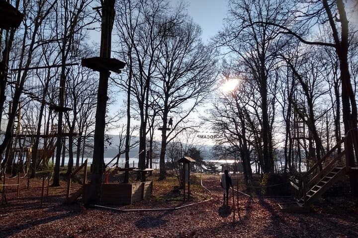 Tree Top Adventure in Moisson — High-Ropes Course & Bird Observatory Near Paris photo 5