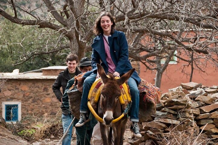Atlas Mountains Day Tour from Marrakech: Imlil & Aroumd Mule Ride