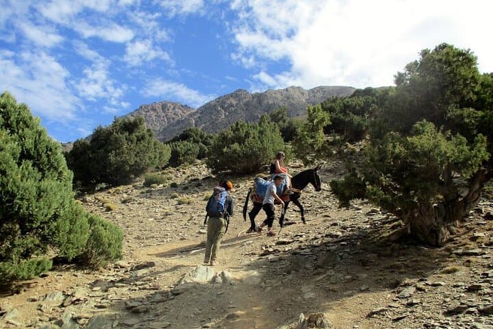 Atlas Mountains Day Tour from Marrakech: Imlil & Aroumd Mule Ride photo 4