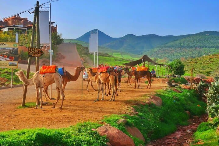 Atlas Mountains Day Trip from Marrakech: Berber Villages, Imlil Waterfalls & Camel Ride photo 6