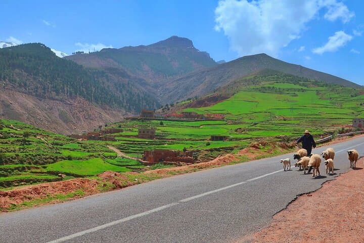 Atlas Mountains Day Trip from Marrakech: Berber Villages, Imlil Waterfalls & Camel Ride photo 2