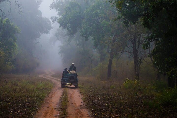 Full-Day Private Ranthambore Safari: Jeep Tour for Tiger Sightings