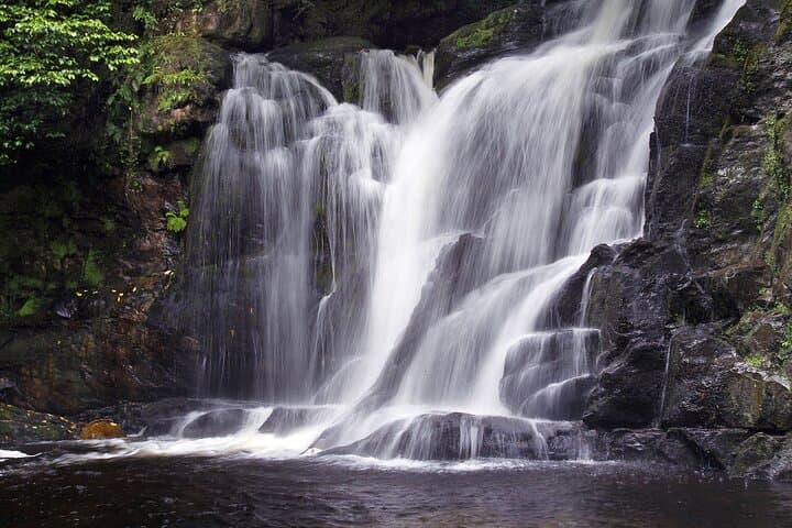 Torc Mountain & Waterfall Hike in Killarney — Private 3.5‑Hour Guided Walk photo 5