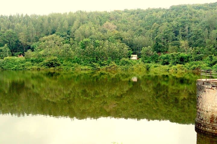 Chikmagalur Day Trip from Mysore: Mullayanagiri, Coffee Plantations & Hebbe Falls photo 3