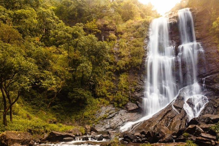 Chikmagalur Day Trip from Mysore: Mullayanagiri, Coffee Plantations & Hebbe Falls photo 4