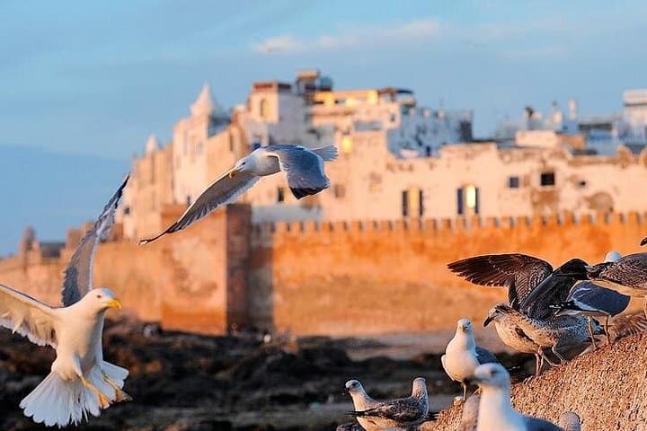 Essaouira Day Trip from Marrakech: Skala, Medina & Fresh Seafood photo 4