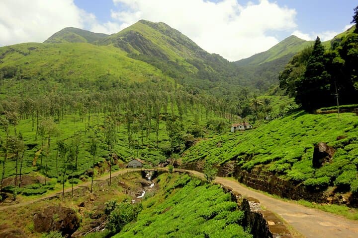 Day Trip from Mysore to Wayanad: Edakkal Caves & Wildlife Sanctuary photo 1