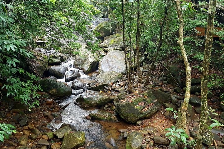 Day Trip from Mysore to Wayanad: Edakkal Caves & Wildlife Sanctuary photo 2