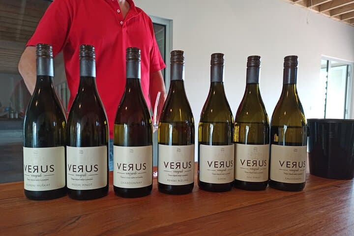 Jeruzalem Wine and Culinary Adventure: Full-Day Tasting Tour from Ljubljana or Ptuj photo 4