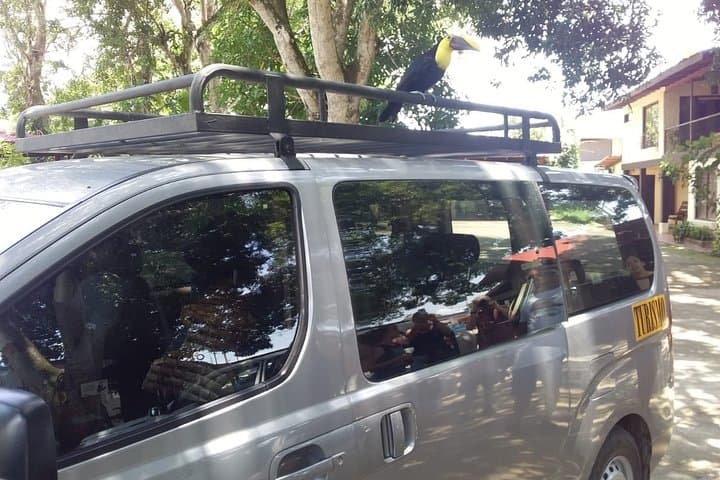 Turtle Nesting Night Tour in Tamarindo — Guided Sea Turtle Watching in Guanacaste photo 3