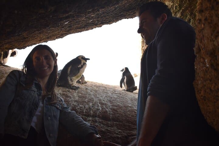 Boulders Beach Penguin Colony with a Conservationist — Up-Close in Simon's Town photo 3