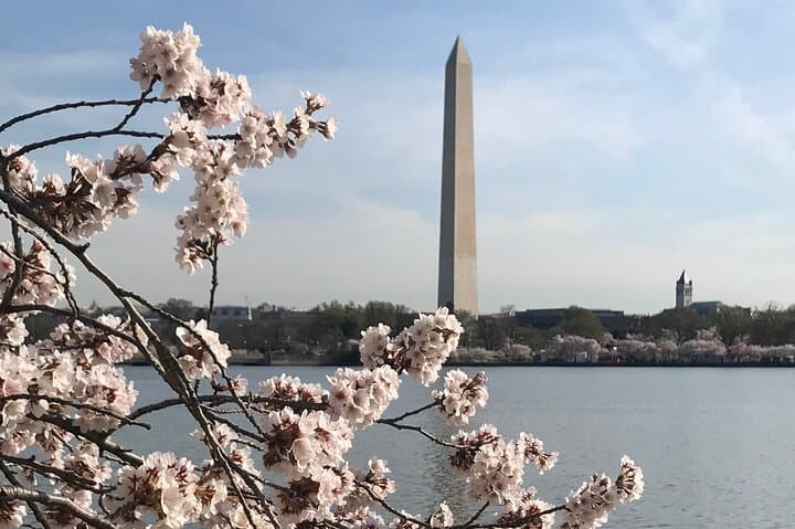 Private Washington Monuments Tour in a Luxury Car — National Mall Highlights & Observation Deck photo 3