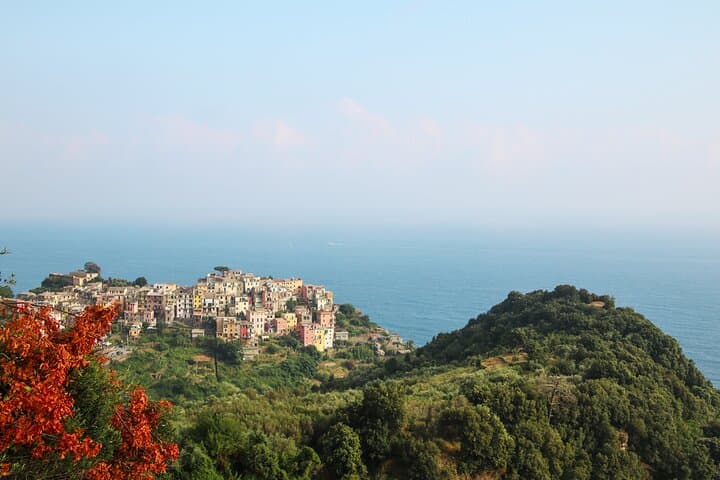 Private Trekking Tour in Cinque Terre with a Local Guide photo 2