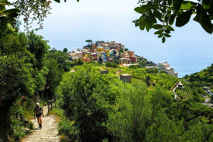 Private Trekking Tour in Cinque Terre with a Local Guide photo 3