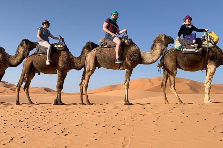 Palm Grove Camel Ride in Marrakech's Palmeraie — Tuareg Scarf Experience