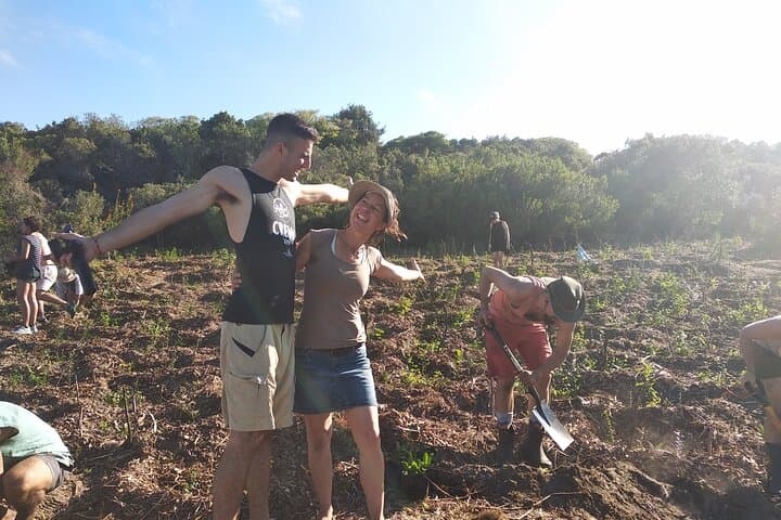 Cape Town Changemaker Camping: Eco-Host Experience with 2 Meals photo 2