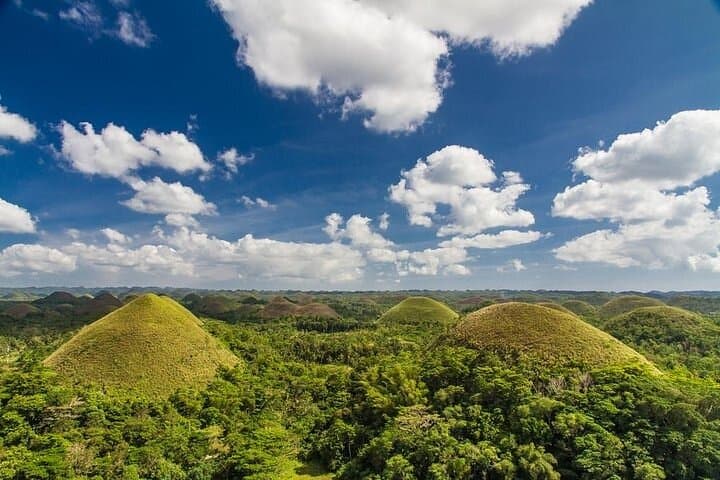 Bohol in a Day: Full-Day Excursion from Cebu to Chocolate Hills & Loboc River