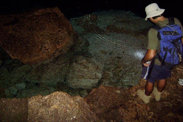 Private Hiking and Cave Swimming in Cotubanamá National Park (Bayahibe) photo 4