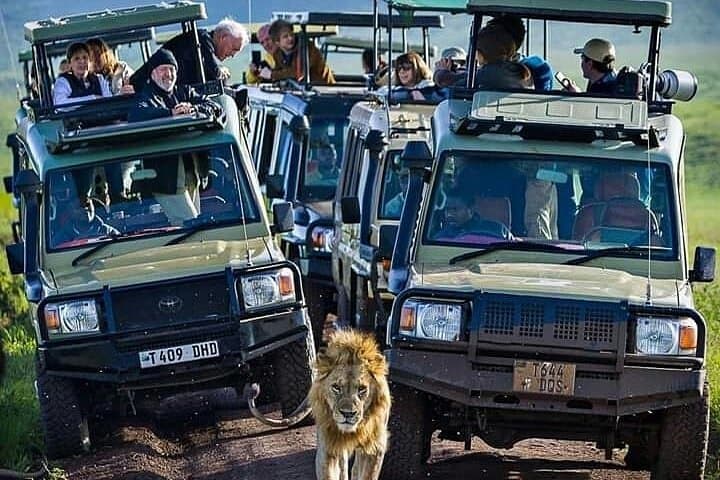 7-Day Lodge Safari Tanzania: Tarangire, Lake Manyara, Serengeti & Ngorongoro photo 2