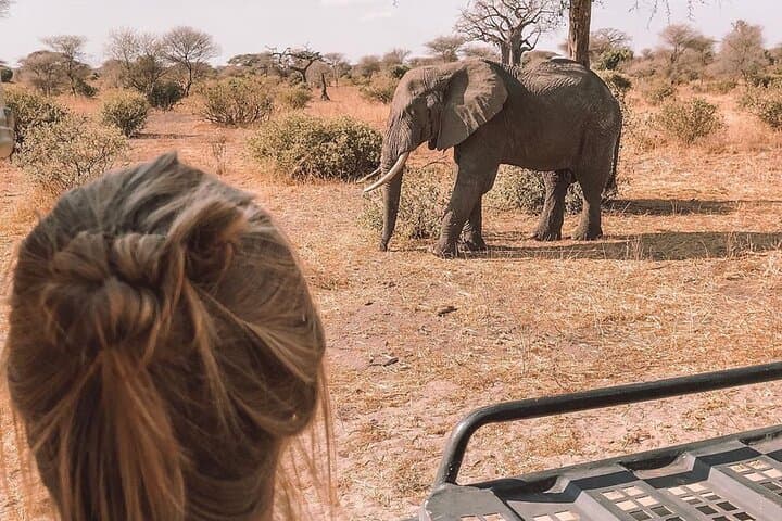 7-Day Lodge Safari Tanzania: Tarangire, Lake Manyara, Serengeti & Ngorongoro photo 4