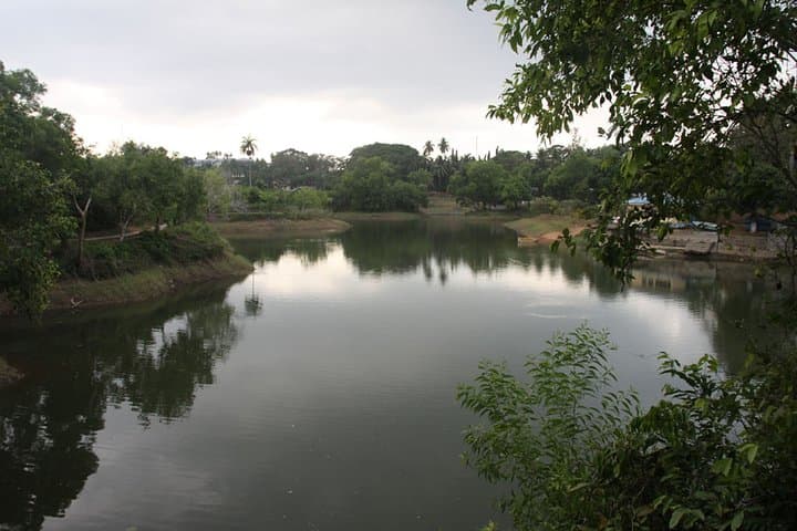 Port Blair Nature Trails: 3-Hour Guided Walking Tour Through Gandhi Park & Marina photo 4