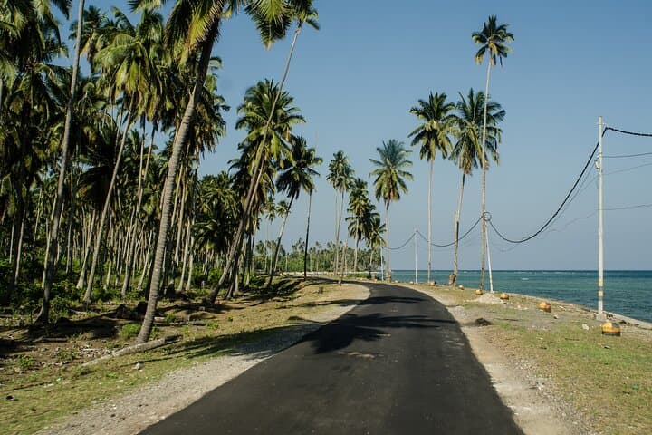 Port Blair Nature Trails: 3-Hour Guided Walking Tour Through Gandhi Park & Marina photo 6