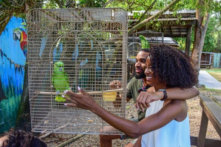 Rocklands Bird Sanctuary: Hand-Feed Hummingbirds and Montego Bay Highlights
