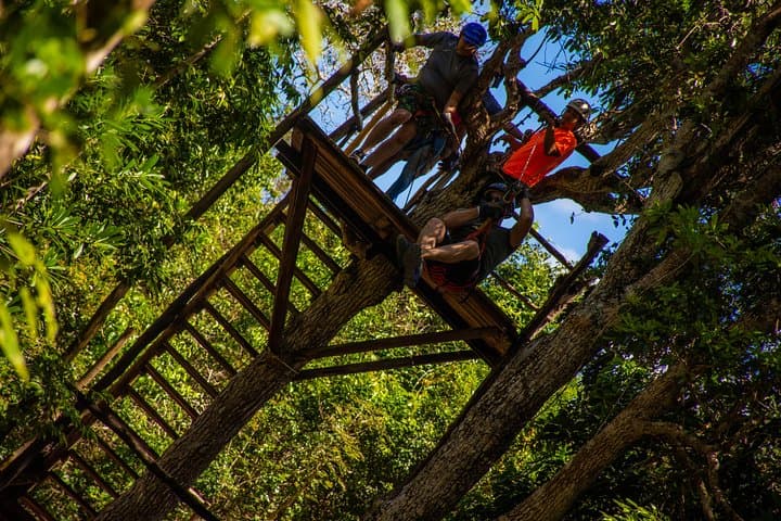 ATV, Zipline & Cenote: Half-Day Jungle Adventure from Cancun photo 6