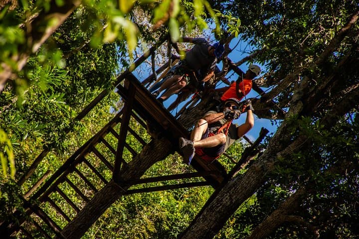 Mayan Jungle Combo: ATV, Zipline & Cenote Swim in Puerto Morelos photo 3