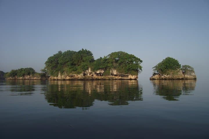 Private Boat Eco Tour of Los Haitises National park — Day Trip from Santo Domingo photo 2