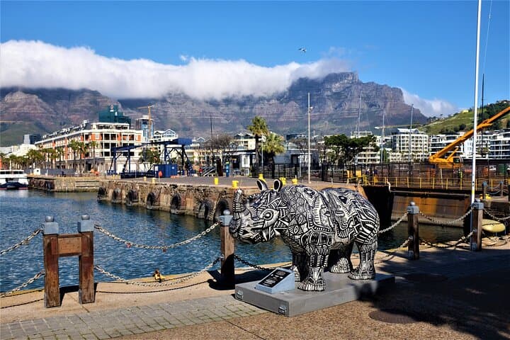 Hermanus Whale Watching and Hemel-en-Aarde Wine Tour from Cape Town photo 6