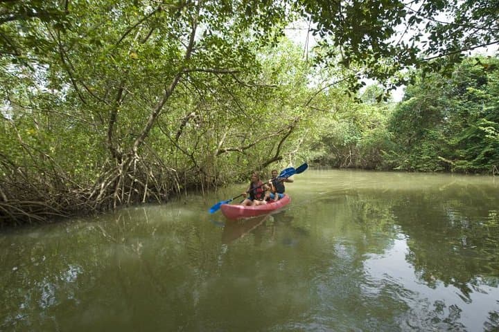 Private Kayak Tour of Los Haitises National Park — Mangroves, Taino Caves & Sabana de la Mar Lunch photo 5