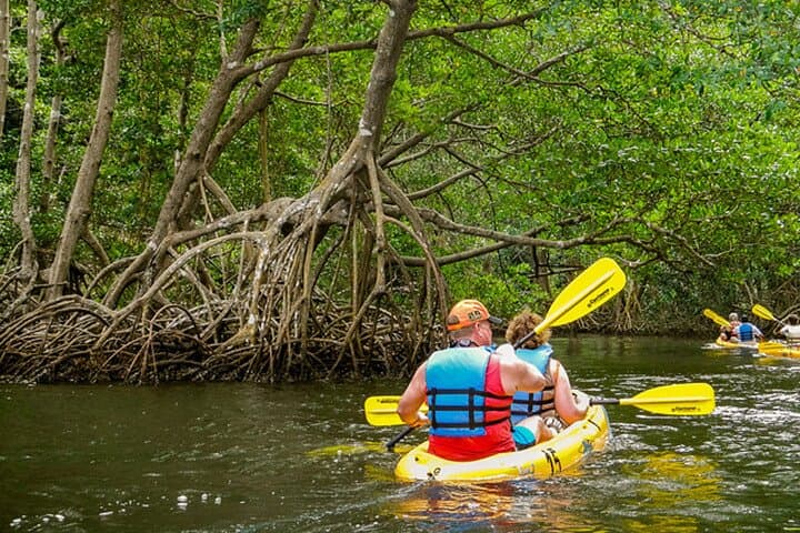 Private Kayak Tour of Los Haitises National Park — Mangroves, Taino Caves & Sabana de la Mar Lunch