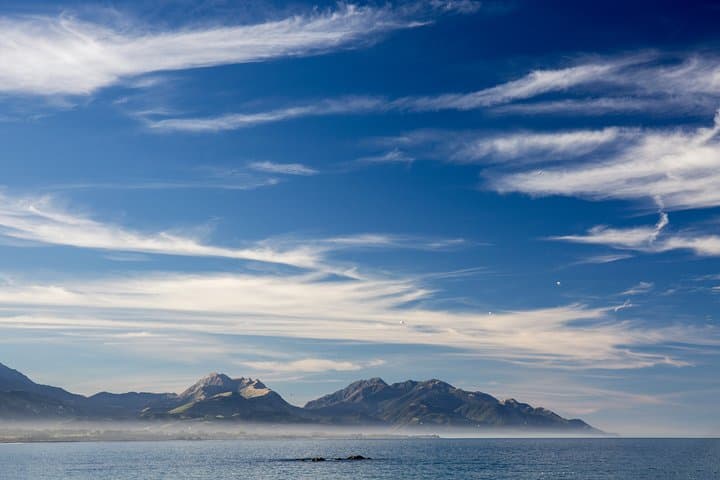 Kapiti Coast and Foxton Beaches Photography Day Tour photo 2