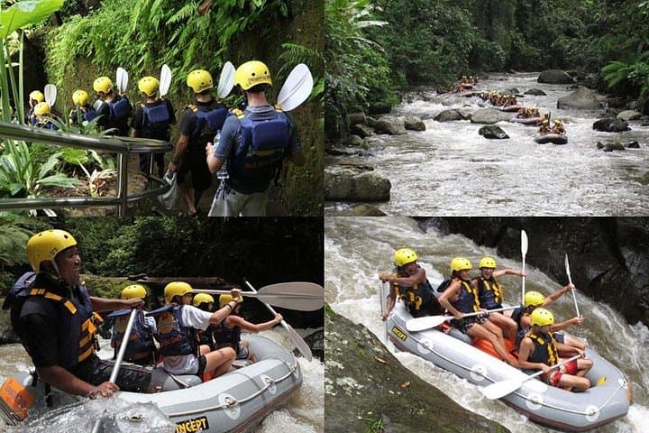 Ayung River White Water Rafting from Ubud — Full-Day Trip with Transfers & Lunch photo 3