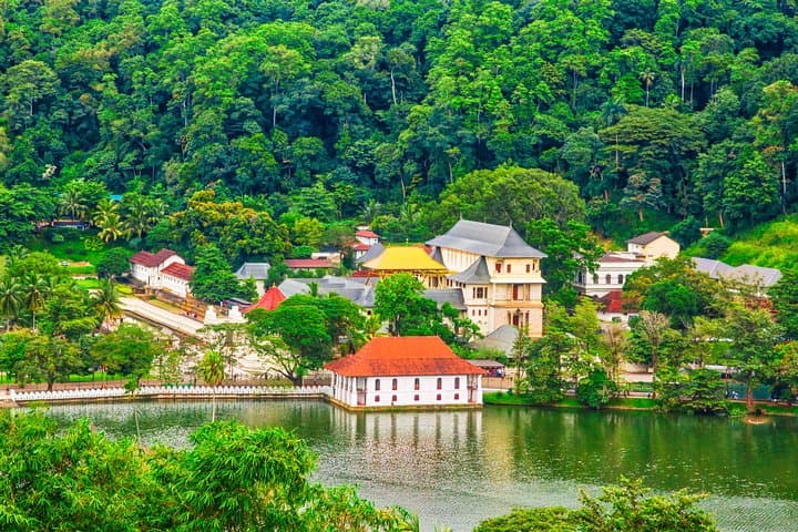 Sri Lanka 7-Day Photography Tour: Sigiriya, Kandy, Tea Country & Bentota photo 5