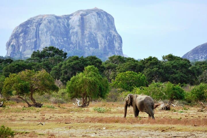 Sri Lanka 7-Day Photography Tour: Sigiriya, Kandy, Tea Country & Bentota photo 6