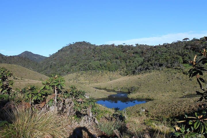 Horton Plains Day Trip from Nuwara Eliya: Scenic Train to World's End photo 4