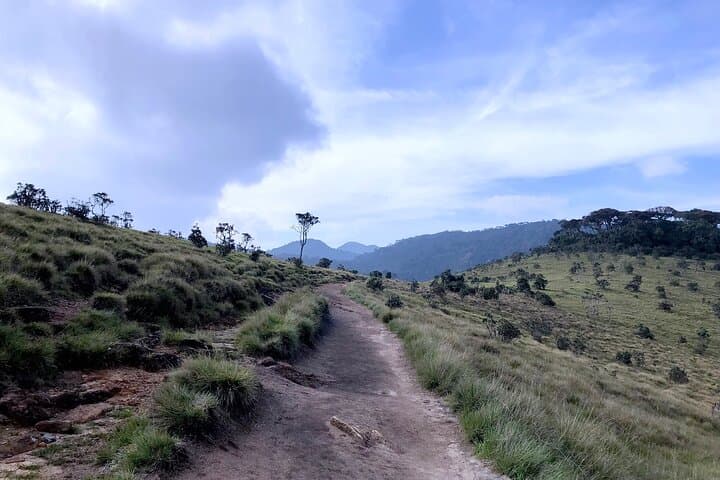 Horton Plains Day Trip from Nuwara Eliya: Scenic Train to World's End