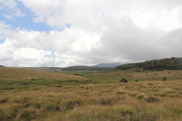 Horton Plains Day Trip from Nuwara Eliya: Scenic Train to World's End photo 3