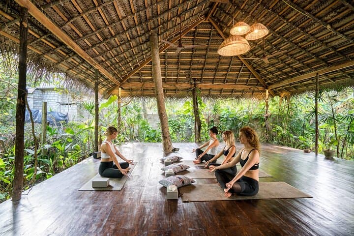 5-Day Yoga & Meditation Retreat Near Kandy: Knuckles Treks, Ayurveda & Birding photo 5