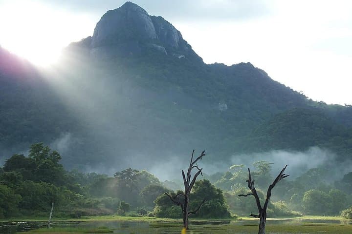 Gal Oya National Park Private Safari — Elephant Herds & Reservoir Wildlife photo 2