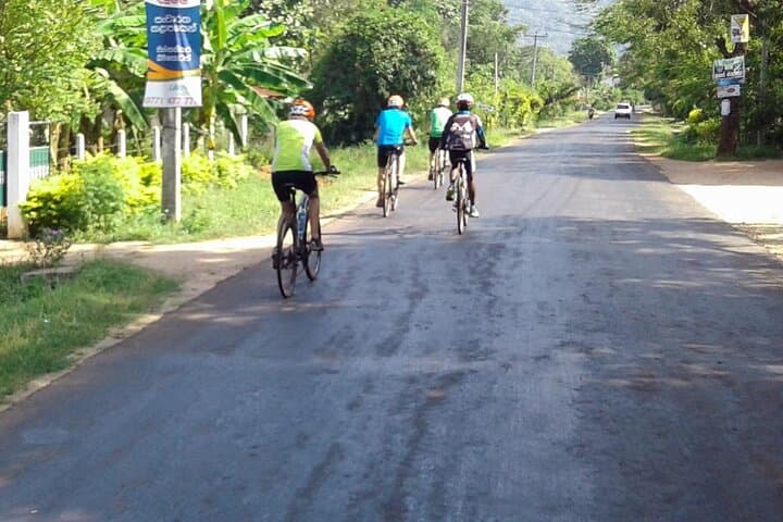 Ella Cycling Tour: Nine Arches Bridge & Little Adam's Peak Ride photo 5