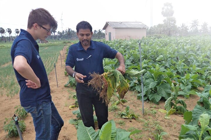 Sri Lanka 4-Day Agro Tour: Farm Visits, Tea Estates & Paddy Fields photo 4