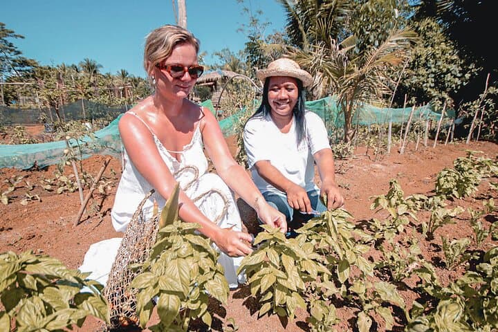 Sri Lanka 4-Day Agro Tour: Farm Visits, Tea Estates & Paddy Fields photo 6