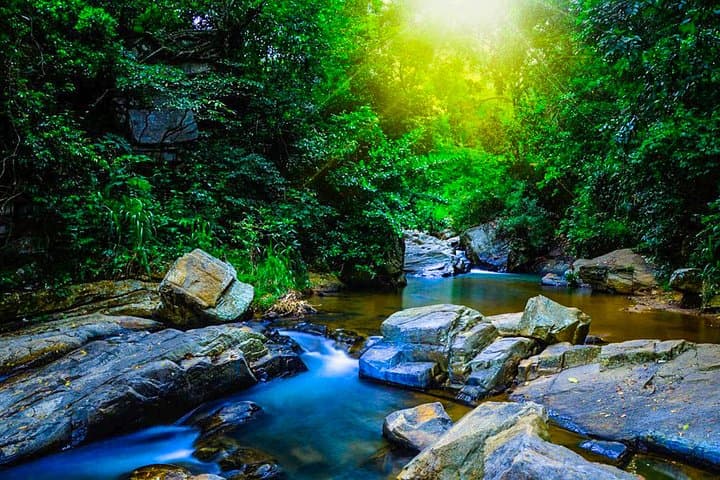 Trekking in Sinharaja Rainforest: Guided Rainforest Hike & Birding in Sri Lanka photo 2