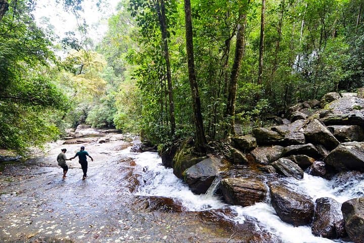 Trekking in Sinharaja Rainforest: Guided Rainforest Hike & Birding in Sri Lanka photo 5
