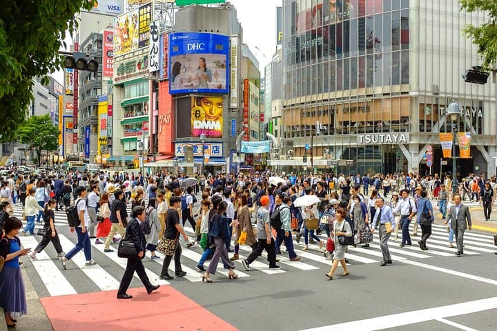 Essential Tokyo Starter Walking Tour: First-Timer Tips, Transit & Culture photo 4